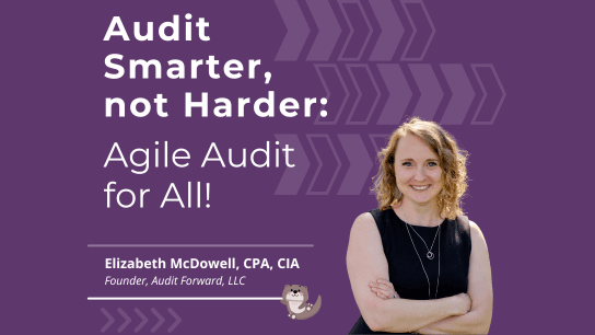 Audit Smarter, Not Harder: Agile Audit for All!