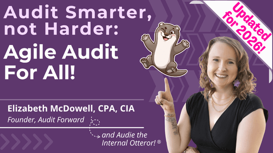 Audit Smarter, Not Harder: Agile Audit for All!