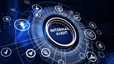 Global IIA Standards - Domain I and II
Part 1