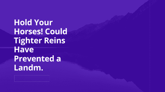 Hold Your Horses!  Could Tighter Reins Have Prevented Fraud?