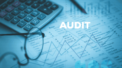 Global Internal Audit Standards Domain II - Part 2